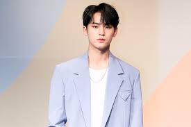 Get you a man who will do anything to take a nice photo of you #seventeen #mingyu #세븐틴 #민규 #wonwoo admin m&m. Pledis Entertainment Officially Denies Accusations Of Seventeen S Mingyu Being A School Bully Koreaboo