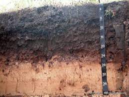 To increase clay soil drainage, one must prevent compaction of the soil. Heavy Clay Soils Improving Landscape Drainage