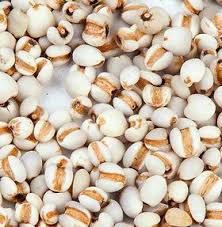 Image result for Coix