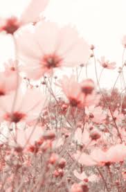 Want to discover art related to pastel_pink_aesthetic? Cute Cartoon Characters Funny Aesthetic Profile Pictures Floral Aesthetic Pictures Pastel