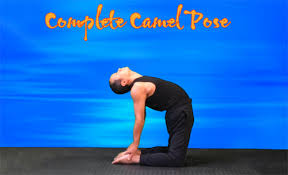 There are many other benefits of ustrasana ustrasana also known as camel pose is a deep backward bending pose. Yoga Vb23 How To Do Camel Pose Understand And Perform Properly Vikudo
