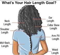 Check spelling or type a new query. The Fullest Hair Length Chart That Describes All Hair Lengths Hadviser