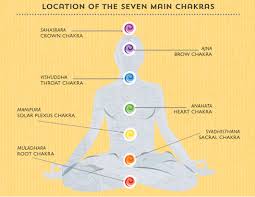 A Guide To The 7 Chakras Quarto Knows Blog