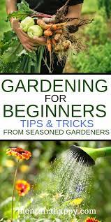 Gardening Ideas For Beginners From Seasoned Gardeners Will Give You Ideas On How To Get Started Making Your Gardening For Beginners Gardening Tips Garden Pests