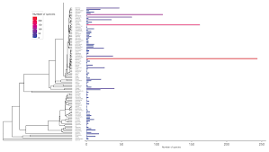 Image result for Microcharis remotiflora