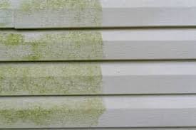 Building on this solid fact base, mckinsey worked with the client to explore where it should. Expert Home Report Home Tips Repair Diy Guides Siding Turning Green Easy Solutions That Work