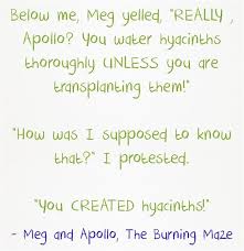 Below Me Meg Yelled Really Apollo You Water Hyacinths Thoroughly Unless You Are Transplanting Percy Jackson Quotes Percy Jackson Funny Percy Jackson Memes