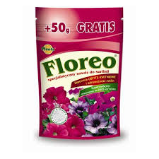 Image result for foto surfínie