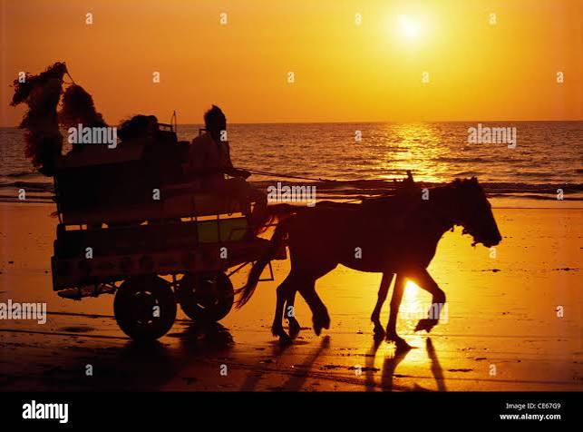 Horse cart mumbai india hi-res stock photography and images - Alamy