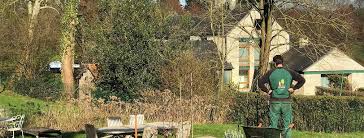 Check spelling or type a new query. Que Coute Un Jardinier En Belgique Pour L Entretien De Mon Jardin Lbo Services