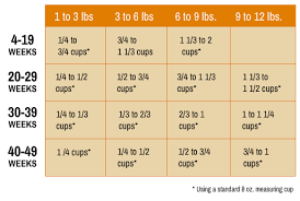 Kitten Feeding Chart_abound Feeding Kittens Cat Feeding