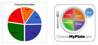 Knowing what and how much to eat can help someone to sustain a healthy body and mind. Are Healthy Foods Really More Expensive Nutrition And Food Safety