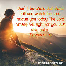 Daily quote in your email. 100 Good Morning Bible Verses With Images Wishes Messages