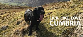 The Lake District Business Directory