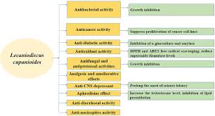 Image result for Lecaniodiscus