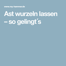 Ast Wurzeln Lassen So Gelingt S Wurzeln Gelassenheit Wurzel