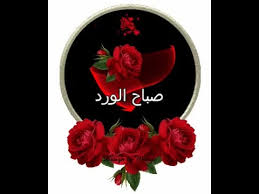 حسبى الله ونعم الوكيل نفسى حد يرد عليه ويشغلى الروتر على الرقم٠٢٢٨٩٠٧٢٦٦. ØµØ¨Ø§Ø­ Ø§Ù„ÙˆØ±Ø¯ Ù…ØªØ­Ø±ÙƒÙ‡ Youtube