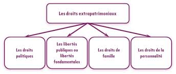 Unjf Introduction Au Droit