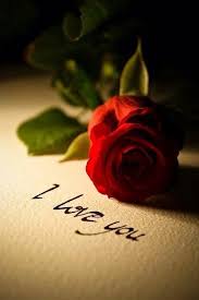Raindrops And Roses Red Roses Love Rose Romance And Love