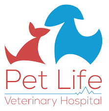 2910 coronado avenue, san diego, ca 92154. Home Veterinarian In San Fernando St Joseph Pet Life Vet Hospital