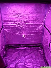 438 #1 ro76, may 2, 2012. Stevehman S Advanced Led S 800w Diamond Series Mulitple Strains Hempy Grow 420 Magazine