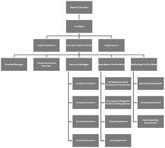 Figure D1 Aquarius Advertising Agency Organization Chart