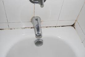 how to get rid of black mold in your