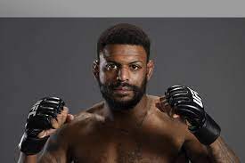 The pairing was originally expected to take place on april 13, 2013 at the ultimate fighter 17 finale. Michael Johnson Ufc