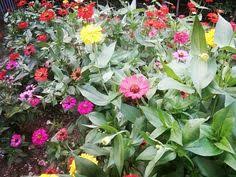 Apakah anda mencari gambar seruling? 8 Heri Ideas In 2021 Borders For Paper Floral Border Design Magic Background