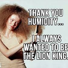 Humid weather and curly hair typically do not go well together, but you can't stay in the air conditioning forever. Best Hair Dryer For Frizzy Hair The Ultimate Review Guide