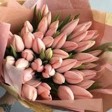 Save with from you flowers coupons, courtesy of groupon. 37 Flowers Ideas Flowers Flowers Bouquet Beautiful Flowers