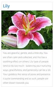 Which Flower Quiz Love The Name Lily Lily Flower Meanings Lily Flower