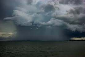 They are easy to fend off. Wallpaper Heavy Rain Shower Gewitter Storm Thunderstorm Wolken Wolke Cloud Clouds Weer Weather Wetter Weter Australien Australia Australie Austral Wasser Meer Sea See Ozeanien Ozean Ocean Water Portdarwin Darwin Darwincity