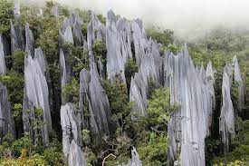 Jun 25, 2021 · the gunung mulu national park, usually referred to simply as mulu park, is located in the miri division of the state of sarawak, which occupies the northwestern shore of borneo island, malaysia. Gunung Mulu National Park Photos Featured Images Of Gunung Mulu National Park Sarawak Tripadvisor