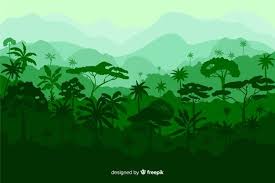 bela floresta tropical paisagem com variedade de arvores forest landscape leaf illustration abstract