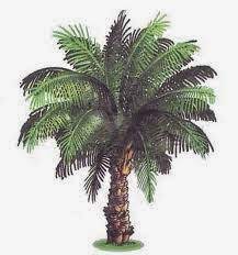 Kelapa sawit terdiri daripada dua spesies arecaceae atau famili palma yang digunakan untuk pertanian komersil dalam pengeluaran minyak kelapa sawit. 99 Gambar Pohon Kelapa Sawit Kartun Cikimm Com