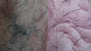 Although there is an actual steam cleaning industrial process, in the context of carpet cleaning. Professional Carpet Cleaning With Full Pest Fumigation T H Contract Services Ltd
