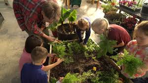 In 2015, pollen landscapes was born as i saw the need and demand for quality landscape consulting in cody and the big horn basin. School Greenhouses Farm To Fork Youtube