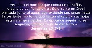 Pin En Confianza