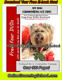 Pet grooming schools listings near me. Amazing Dog Grooming School For Only 99