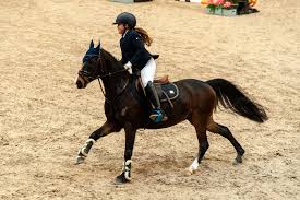 But she had not realised austrian anna kiesenhofer had finished. Luna Hagedorn I Follow You 7093 Reitsport Portal