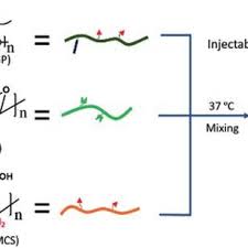 Pdf Semi Ipn And Ipn Based Hydrogels