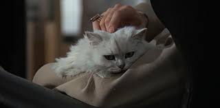 Blofeld's cat seen in russia with love, thunderball, you only live twice, her majesty's secret service, diamonds are forever, for your eyes only and never say. This Is Blofeld S Cat Album On Imgur