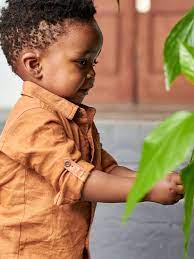Shirt With Roll Up Sleeves For Baby Boys Brown Baby