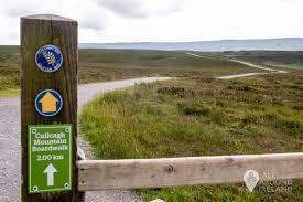 It is also quite a forbidden fruit with the $1,000 fine if the patrol guards catch you. Hiking Ireland S Stairway To Heaven All Around Ireland
