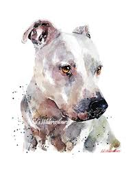 White Staffordshire Bull Terrier Watercolour Print White Etsy Bull Terrier Art Watercolor Dog Dog Sketch
