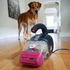 Bissell Pet Hair Eraser Corded Handheld Vacuum Filter Bissell Pet Hair Eraser Review An Affordable Pet Hair Eliminator