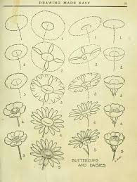 Imagem Descoberto Por Aylen Descubra E Salve Suas Proprias Imagens E Videos No We Heart It Drawings Flower Drawing Book Drawing