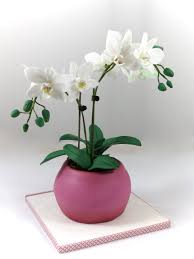 Orchid Orchidee Torte Cake Flowerpot Blumentopf Torte Orchideenkuchen Motivtorten Kuchen Mit Blumen