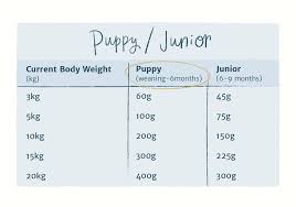 How much you feed your dog every day depends on a number of factors including: How To Feed Your Puppy The Right Amount Toy Small